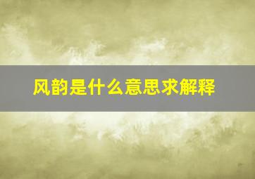 风韵是什么意思求解释