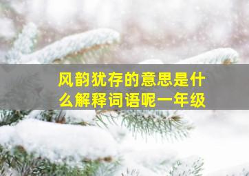 风韵犹存的意思是什么解释词语呢一年级