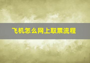 飞机怎么网上取票流程