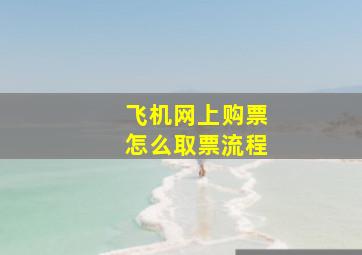 飞机网上购票怎么取票流程