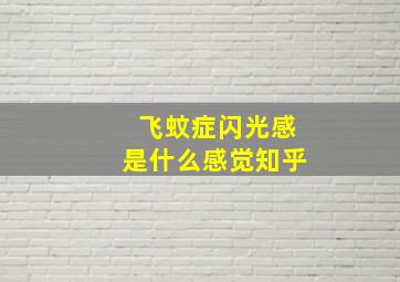 飞蚊症闪光感是什么感觉知乎