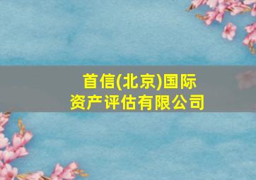 首信(北京)国际资产评估有限公司