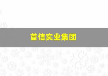 首信实业集团