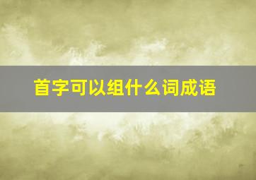 首字可以组什么词成语