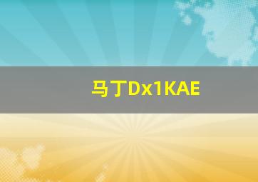 马丁Dx1KAE