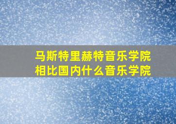 马斯特里赫特音乐学院相比国内什么音乐学院