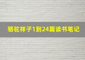 骆驼祥子1到24篇读书笔记