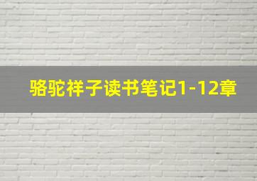 骆驼祥子读书笔记1-12章