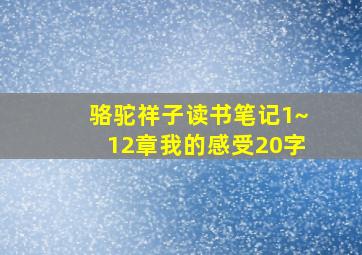 骆驼祥子读书笔记1~12章我的感受20字