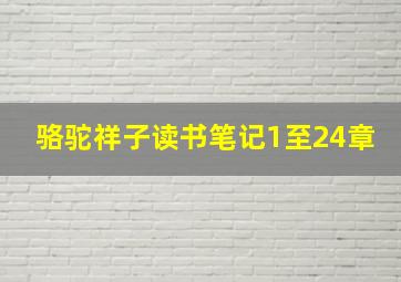 骆驼祥子读书笔记1至24章