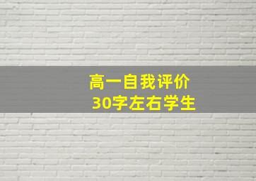 高一自我评价30字左右学生