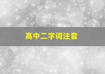 高中二字词注音