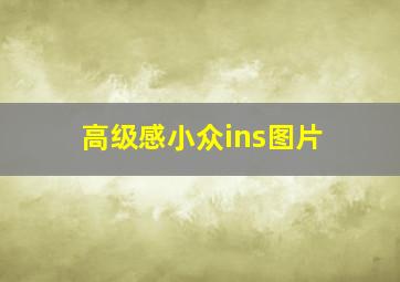 高级感小众ins图片