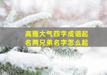 高雅大气四字成语起名两兄弟名字怎么起