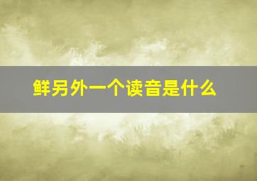 鲜另外一个读音是什么