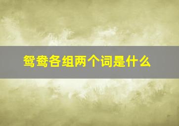 鸳鸯各组两个词是什么