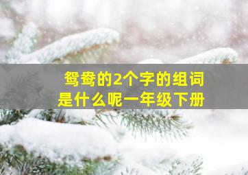 鸳鸯的2个字的组词是什么呢一年级下册