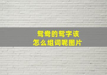 鸳鸯的鸳字该怎么组词呢图片