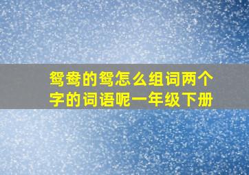 鸳鸯的鸳怎么组词两个字的词语呢一年级下册