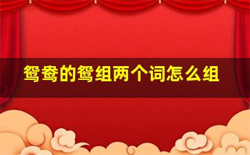 鸳鸯的鸳组两个词怎么组