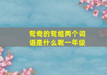 鸳鸯的鸳组两个词语是什么呢一年级