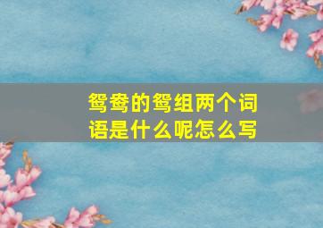 鸳鸯的鸳组两个词语是什么呢怎么写