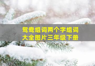 鸳鸯组词两个字组词大全图片三年级下册