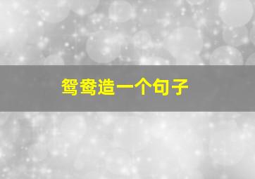 鸳鸯造一个句子