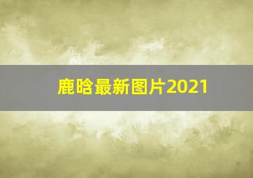 鹿晗最新图片2021