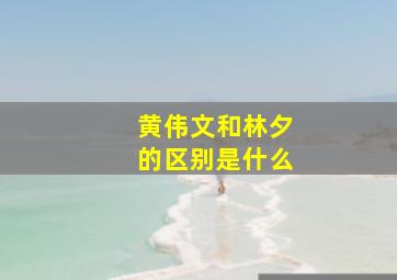 黄伟文和林夕的区别是什么