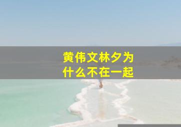 黄伟文林夕为什么不在一起