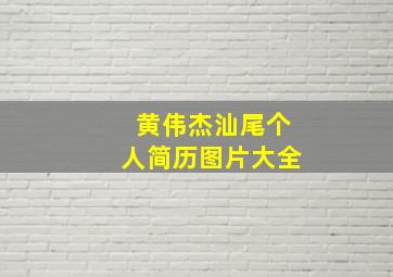 黄伟杰汕尾个人简历图片大全