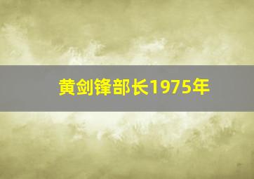 黄剑锋部长1975年