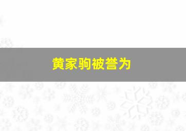 黄家驹被誉为