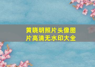 黄晓明照片头像图片高清无水印大全