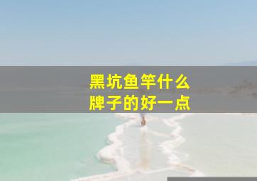 黑坑鱼竿什么牌子的好一点