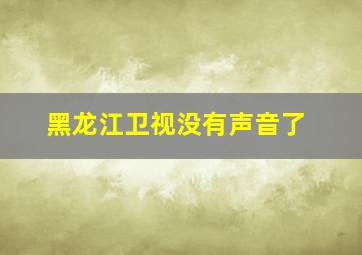 黑龙江卫视没有声音了