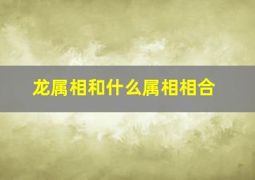 龙属相和什么属相相合