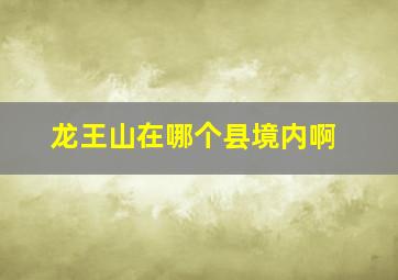 龙王山在哪个县境内啊