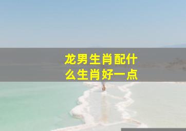 龙男生肖配什么生肖好一点