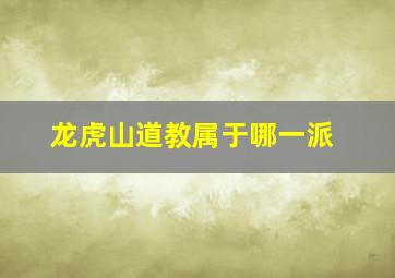 龙虎山道教属于哪一派