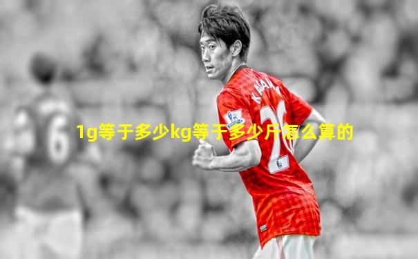 1g等于多少kg等于多少斤怎么算的