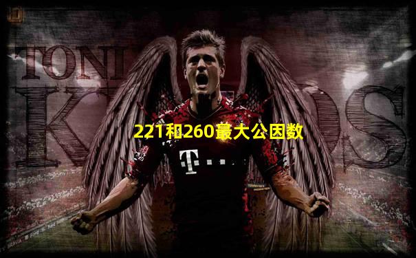 221和260最大公因数