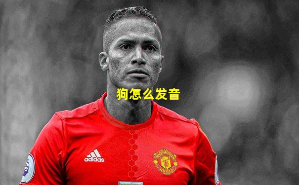 狗怎么发音