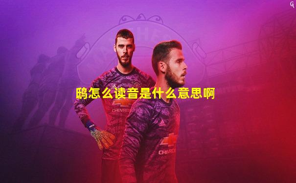 鸱怎么读音是什么意思啊